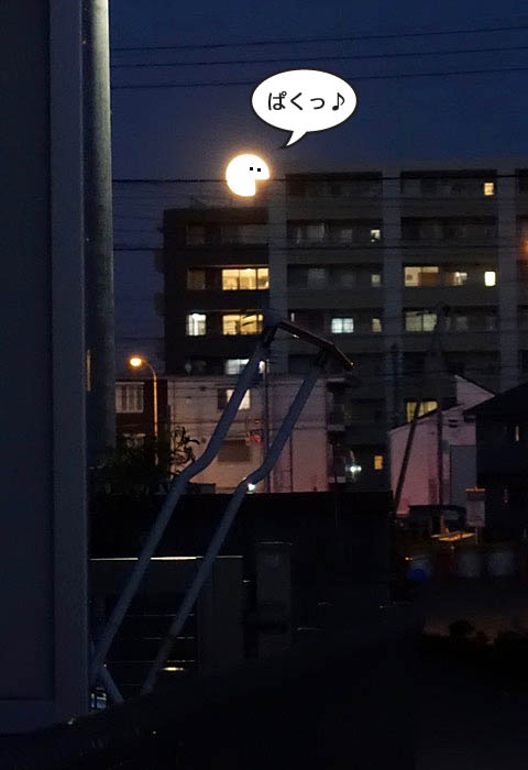 1日ブログ１
