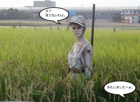 22日ブログ7.jpg
