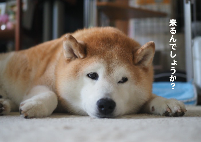 21日ブログ３