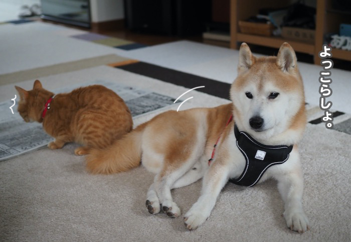 22日夜ブログ２