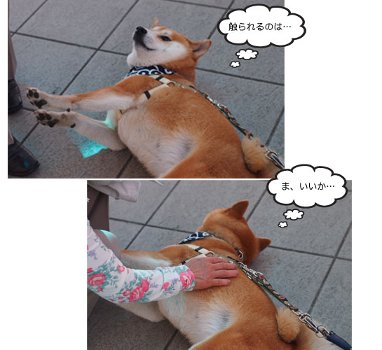 25日ブログ6.jpg