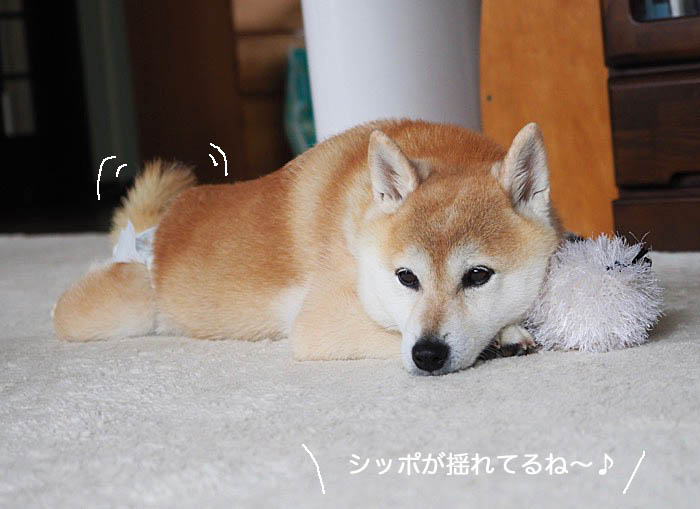 2日夜ブログ２