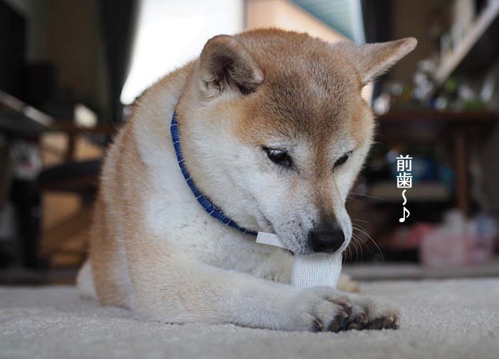 18日ブログ６