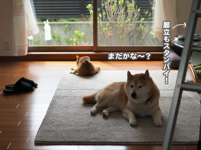 6日ブログ１
