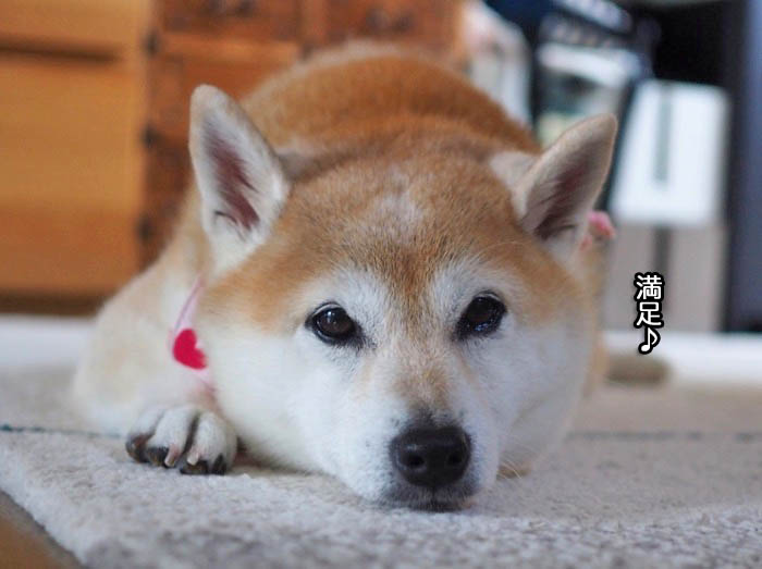 22日ブログ４