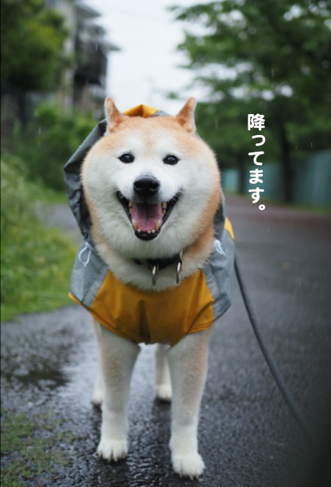 1日夜ブログ２