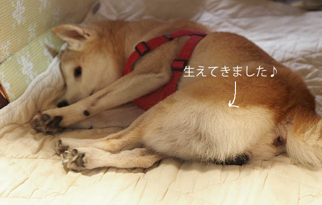 23日ブログ3