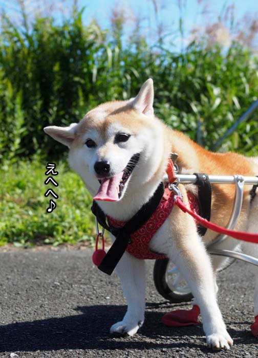 8日夕ブログ１３