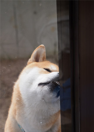 3日ブログ６.jpg