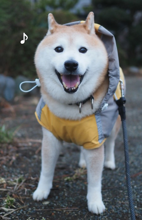 19日夜ブログ５