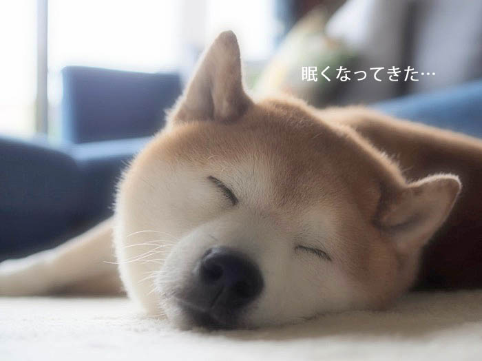 21日ブログ６