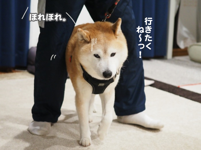 15日夕ブログ5