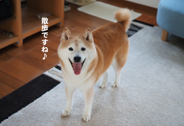 14日ブログ３