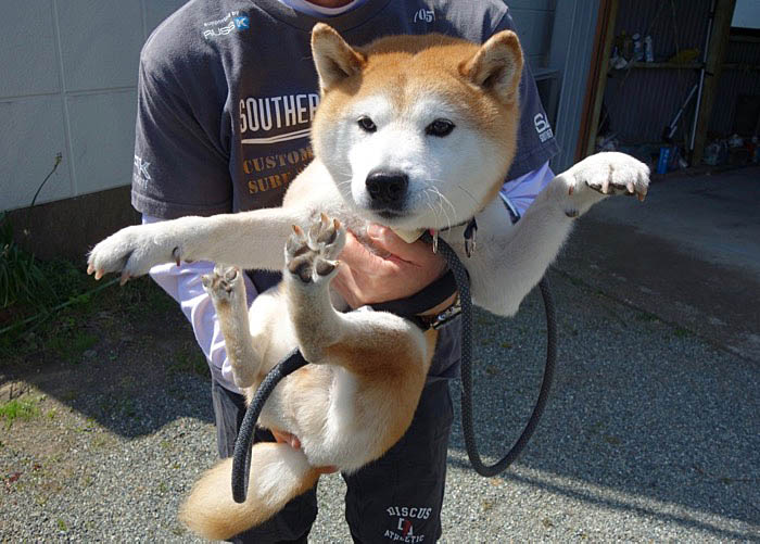 26日ブログ１