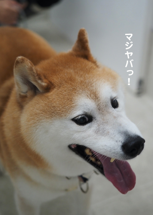 7日ブログ８