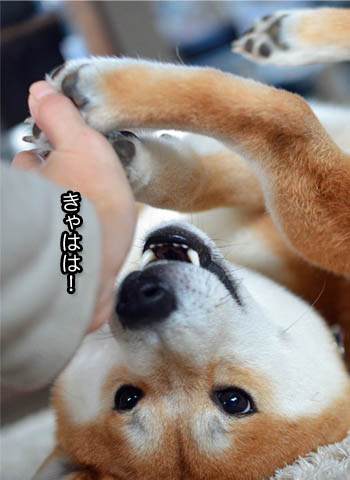 2日ブログ12.jpg