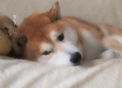 16日ブログ１２.jpg