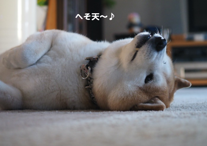 23日夕ブログ２