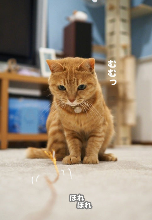 20日夕ブログ２