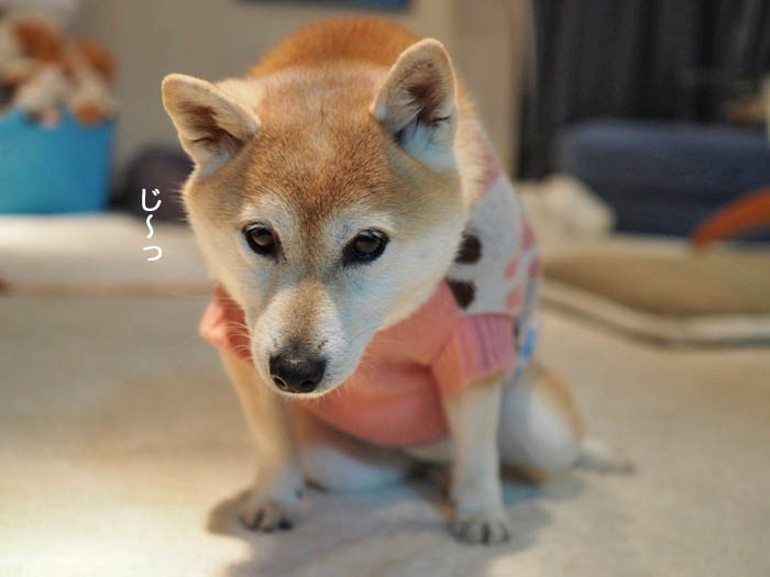 28日夜ブログ３