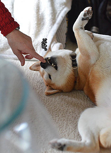11日ブログ6