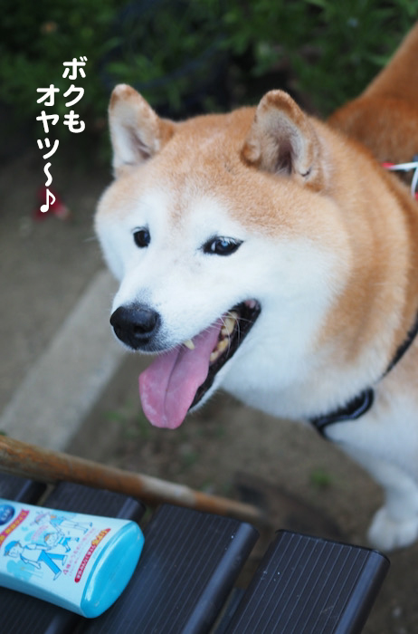 25日夕ブログ３