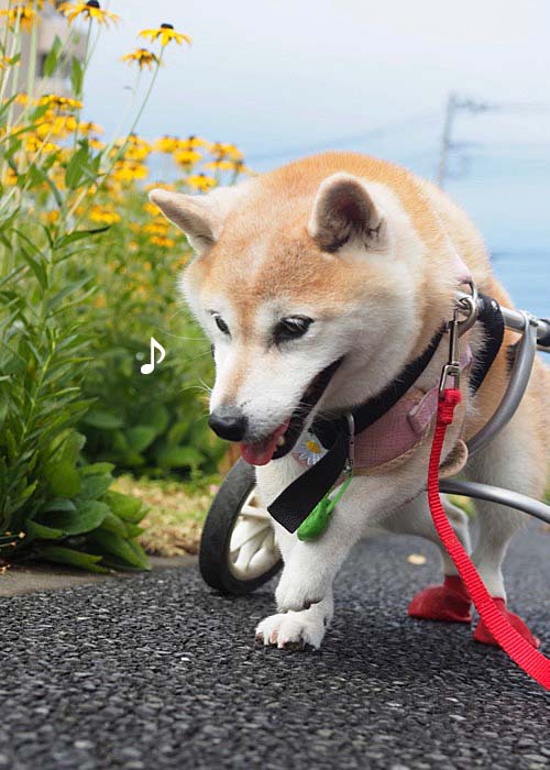 27日ブログ２