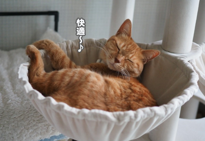 27日ブログ２