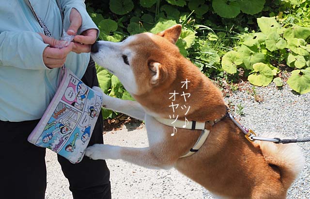 20日ブログ１６