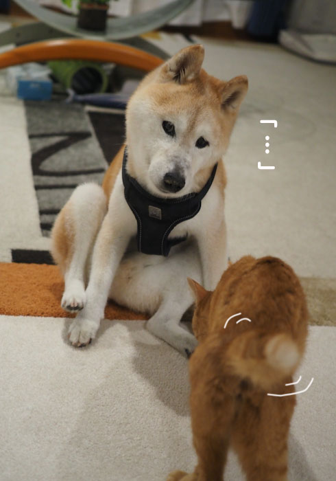 11日ブログ２
