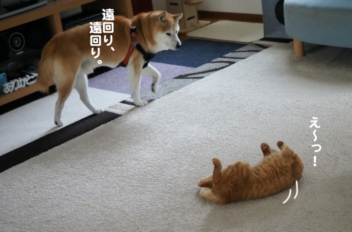 12日夕ブログ５
