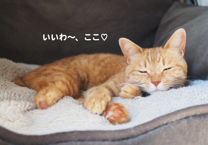 14日夕ブログ３