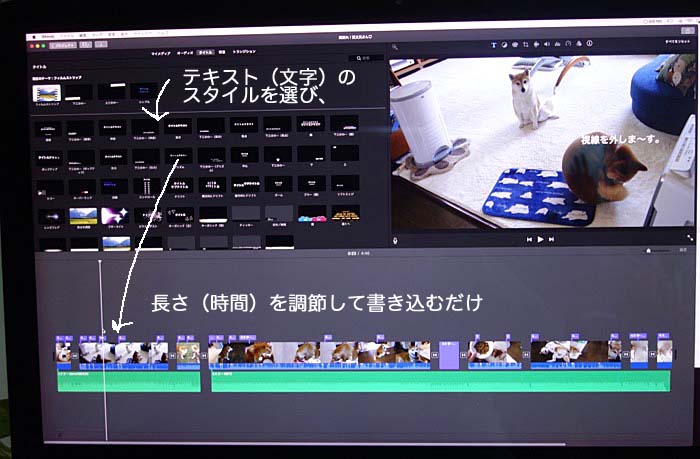 24日午後ブログ４