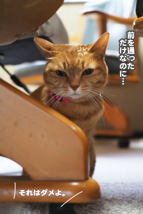 28日ブログ２