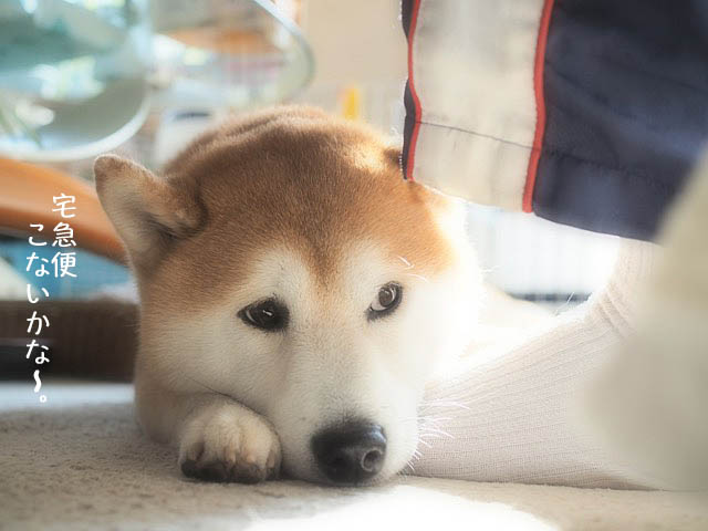 24日ブログ5