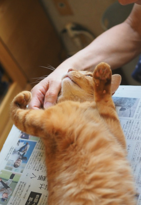 5日ブログ５