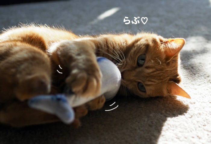 14日夕ブログ３