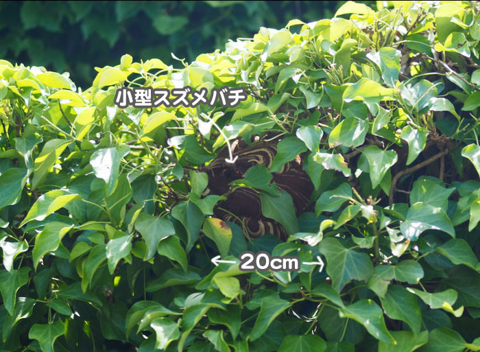 8日夕ブログ5
