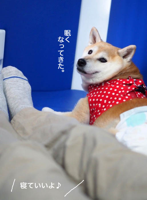 4日夜ブログ６