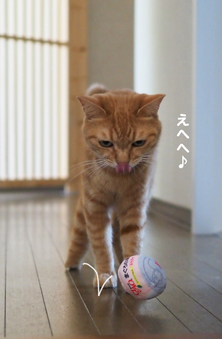 ３１日夕ブログ４
