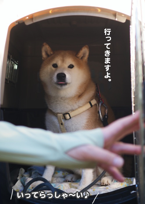 26日ブログ１４