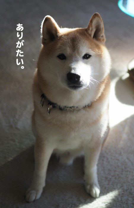 29日ブログ２