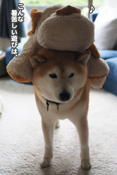 29日夜ブログ4