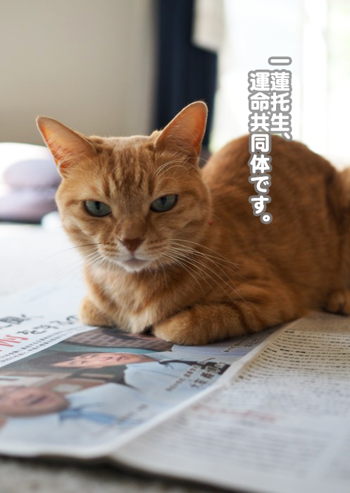 30日ブログ２