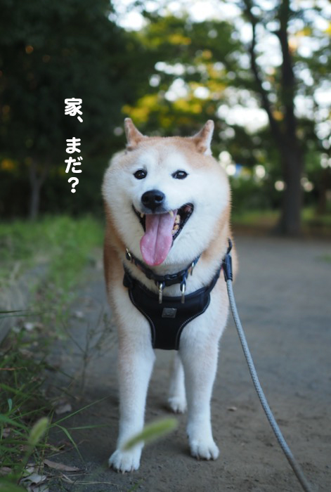 25日ブログ４