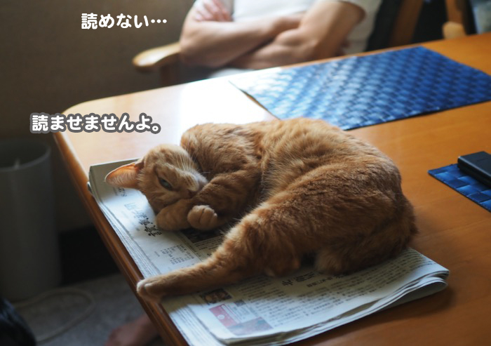 23日ブログ３
