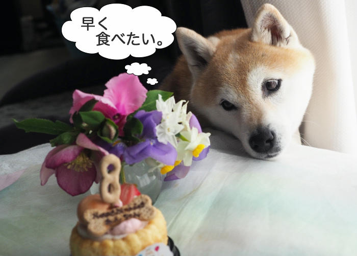 4日夜ブログ２