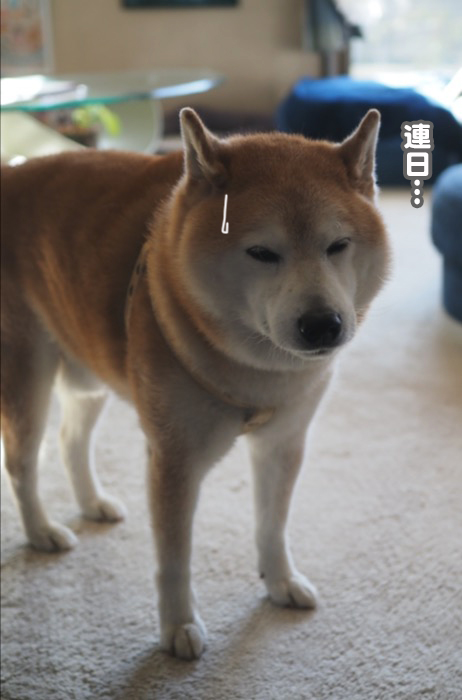 16日ブログ５