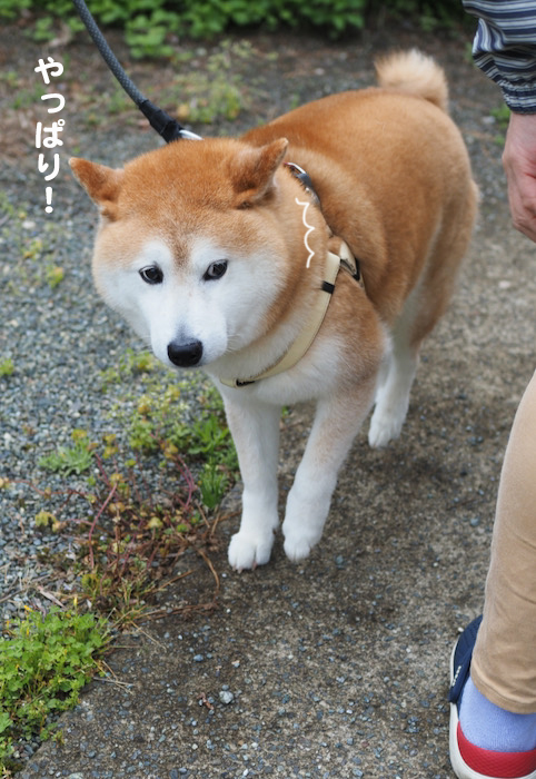 20日ブログ９
