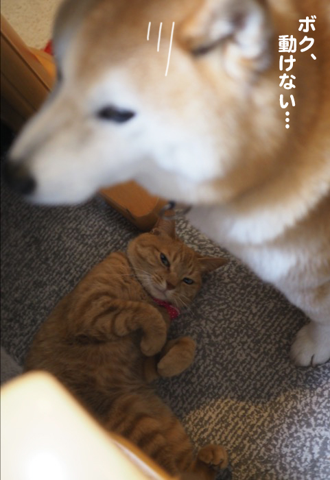 14日ブログ５